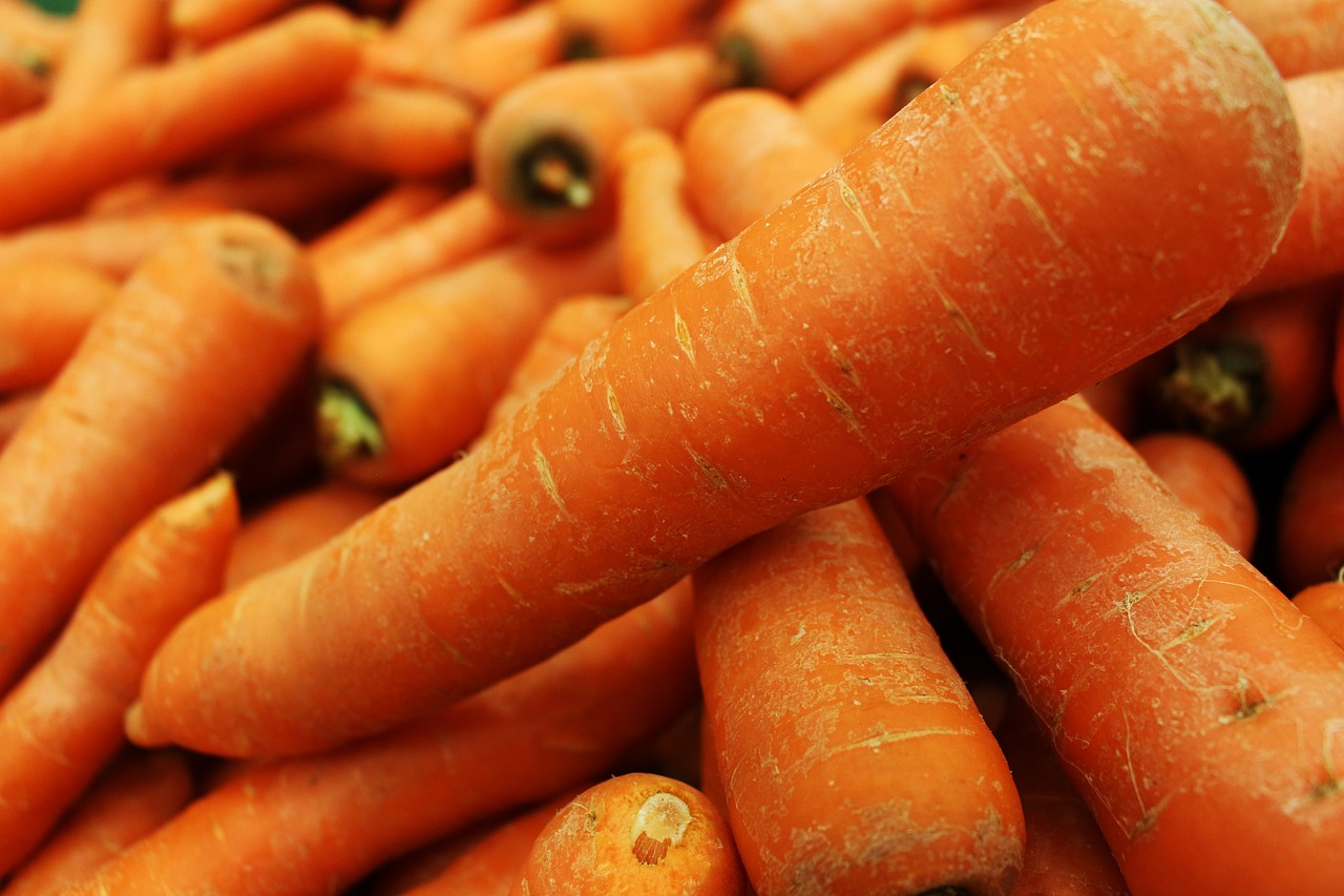 carrot, vegetable, healthy